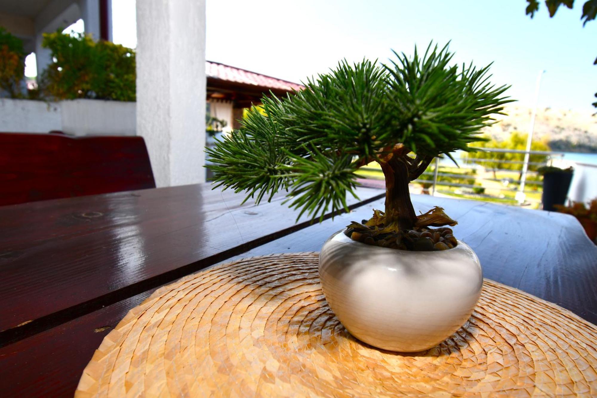 Sandra -Lopar Exterior photo